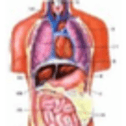 3D解剖助手針灸穴位版