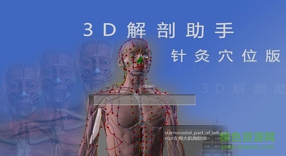 3D解剖助手針灸穴位版 v2.0 安卓版 0