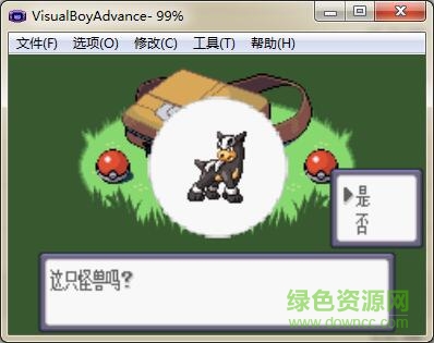 口袋妖怪綠寶石精靈學(xué)院 新生代改版 0