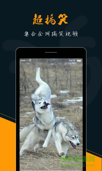 樂視頻播放器手機(jī)客戶端 v1.5 安卓版 3