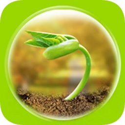 一路健康醫(yī)生端