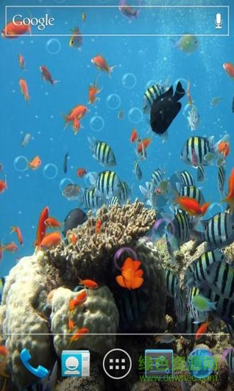 3D海底世界動(dòng)態(tài)壁紙手機(jī)壁紙 v6.4 安卓版 0