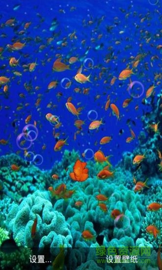 3D海底世界動(dòng)態(tài)壁紙手機(jī)壁紙 v6.4 安卓版 1