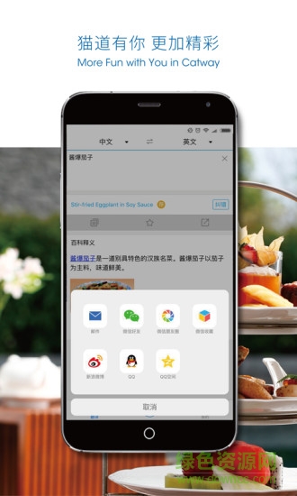 貓道美食翻譯 v1.0 安卓版 2