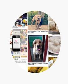 格子餃子iphone版