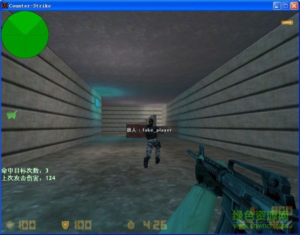 cs1.6顯示傷害插件  0