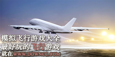 模擬飛行游戲