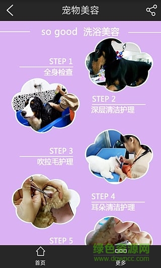 東莞sogood寵物俱樂部(寵物寄養(yǎng)) v1.1 安卓版 3