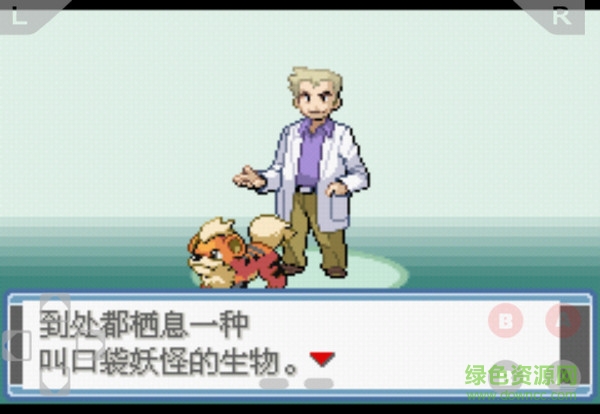 口袋妖怪永恒之炎zero血皇影風(fēng)移植版