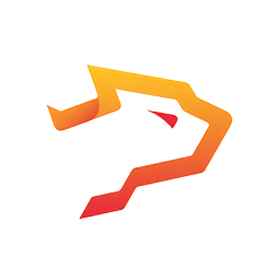 銀豹收銀專業(yè)版pad