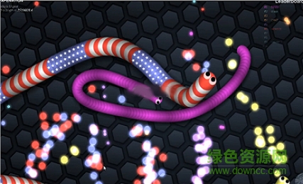 蛇蛇大作戰(zhàn)不死版 v2.5.11 安卓修改版 1