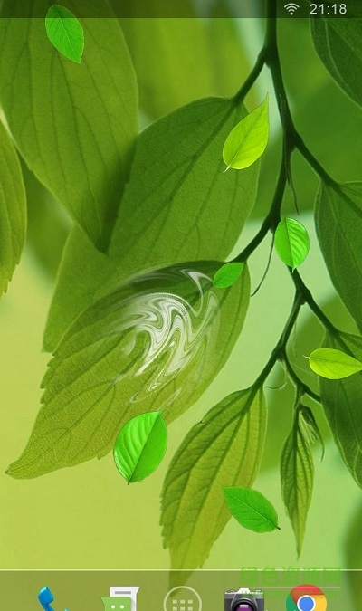 植物水波壁紙app