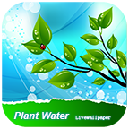 經(jīng)典植物壁紙合集