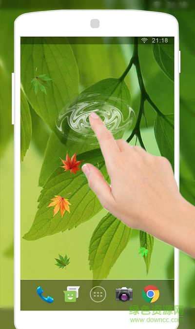 經(jīng)典植物壁紙合集 v1.0 安卓版 1