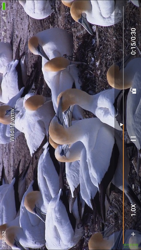 金獅播放器安卓版3-23