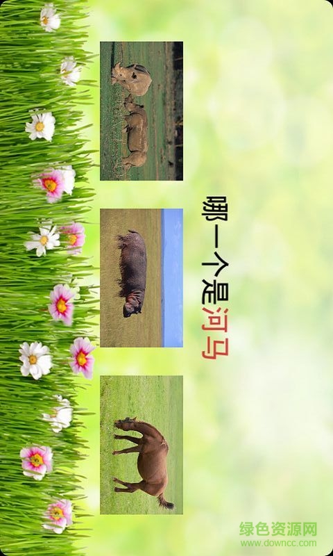 寶寶學(xué)識動物app下載