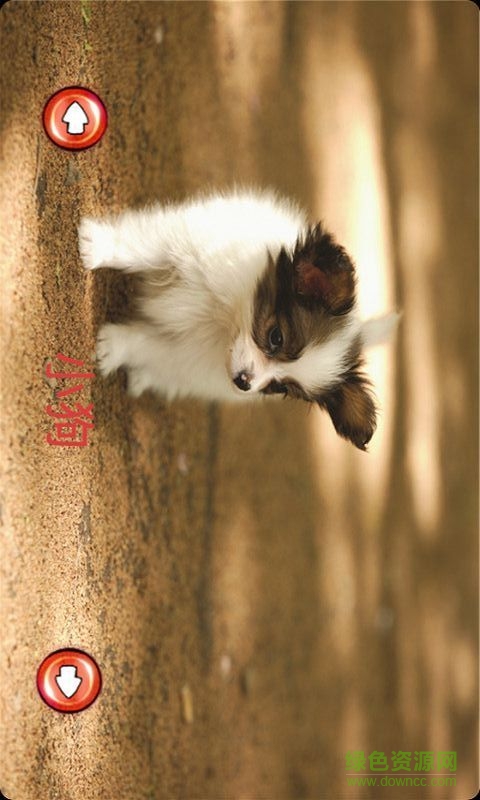 寶寶學(xué)識動物 v6.0.1 安卓版 4