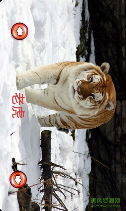 寶寶學(xué)識動物 v6.0.1 安卓版 0