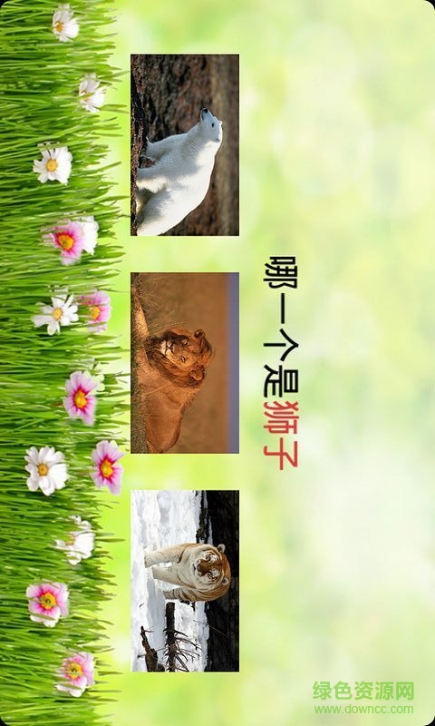 寶寶學(xué)識動物 v6.0.1 安卓版 2