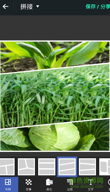 photo grid相片組合新版 v6.76 安卓版 1