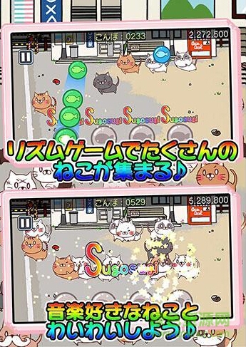 萌貓節(jié)奏手機游戲 v1.0 安卓版 1