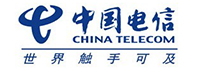 中国电信集团有限公司<