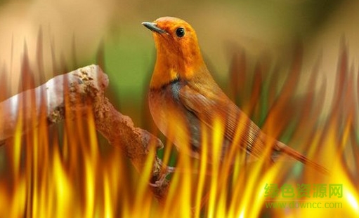 Photoshop eye candy 4000濾鏡 免裝版 0