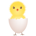 夏貝貝云盤vip修改版