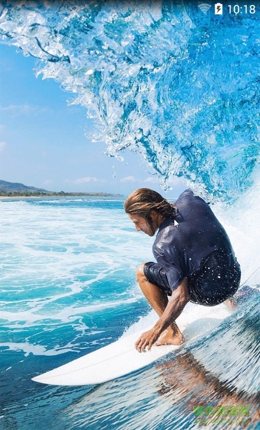 體魚直播手機版下載