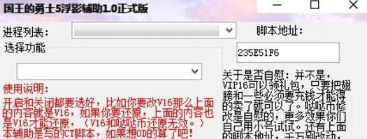 國王的勇士5浮影輔助 v1.0 免費版 0