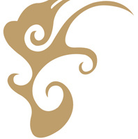 紫峰搶單軟件(搶單神器)