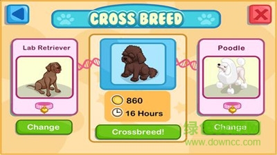 寵物神犬樂園 v1.0.6.6 安卓版 3