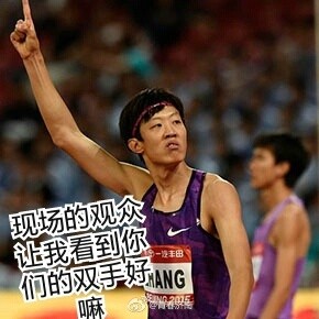 張國(guó)偉跳高表情包  0