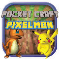 Pocket Craft PokeBlock手機版