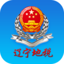 遼寧地稅電子客戶端