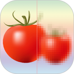 馬賽克打碼專家軟件