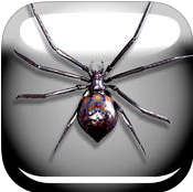 蜘蛛惡作劇簡版ios版
