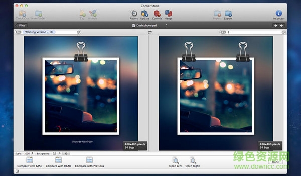 cornerstone for mac(SVN管理工具) v3.0.1 蘋果電腦版 0