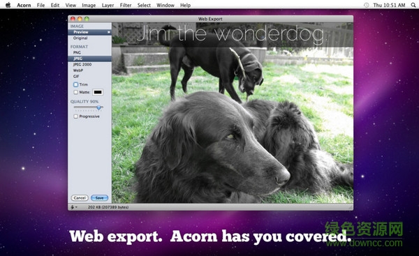 acorn for mac(圖像處理軟件) v5.5 蘋果電腦版 0