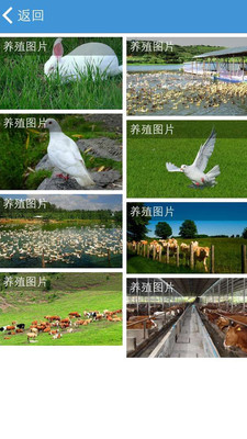 四川養(yǎng)殖網 v6.0.0 安卓版 1