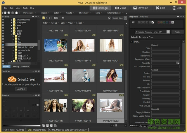 ACDSee Ultimate 9下載