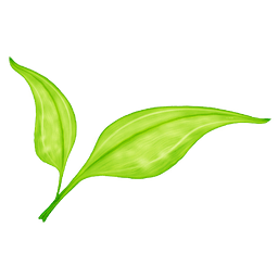 網(wǎng)圖獲取器