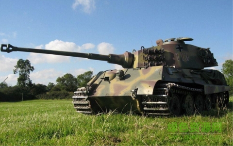 陸戰(zhàn)雄獅果盤版