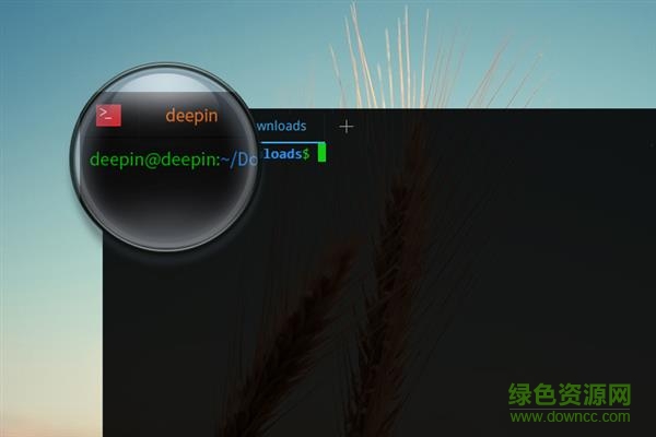 深度終端.jpg 深度終端