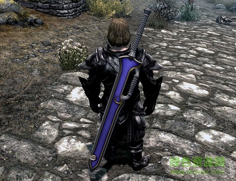 上古卷軸5安格拉姆武器mod