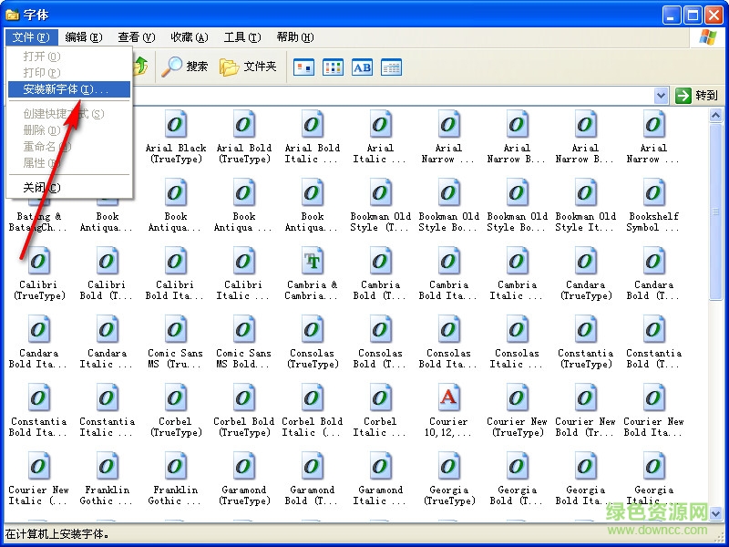 金梅毛行破裂字形