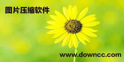 圖片壓縮軟件下載-圖片壓縮工具哪個好？-圖片壓縮器