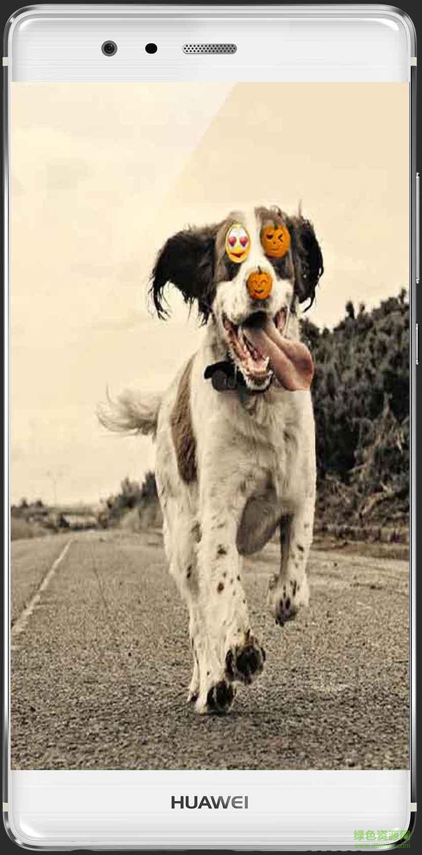 美貼秀秀手機(jī)版 v1.8 安卓版 1