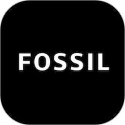 fossilq智能手表
