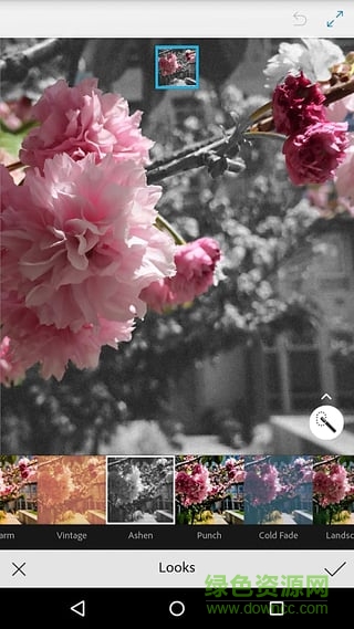 Photoshop Mix手機(jī)版(手機(jī)ps) v2.0.136 android版 1